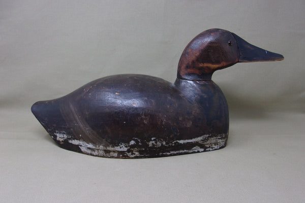 St. Clair Flats Canvasback, Circa 1920's  (#3470)