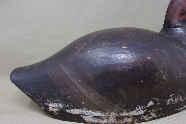 St. Clair Flats Canvasback, Circa 1920's  (#3470)