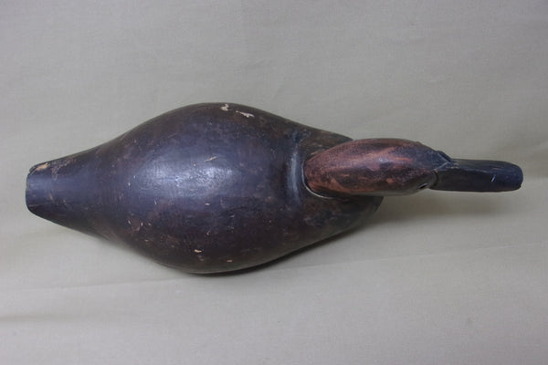 St. Clair Flats Canvasback, Circa 1920's  (#3470)