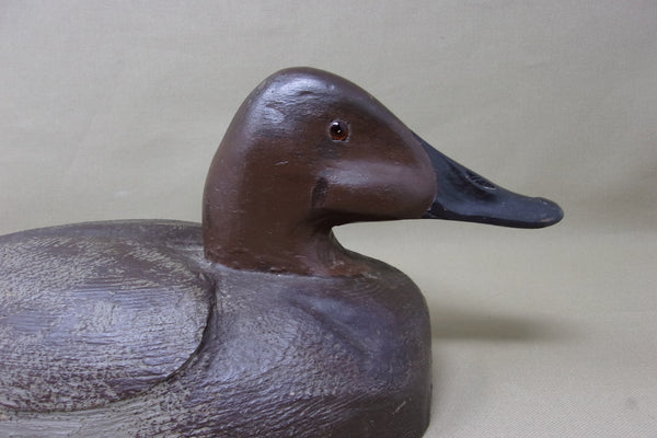 Canvasback, Ben Schmidt Influence, Circa 1940's (#3471)