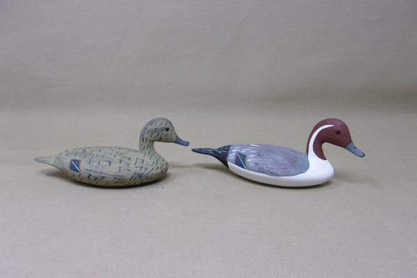 Wilfred Bush Quarter Size Pintails Pair  (#3476)