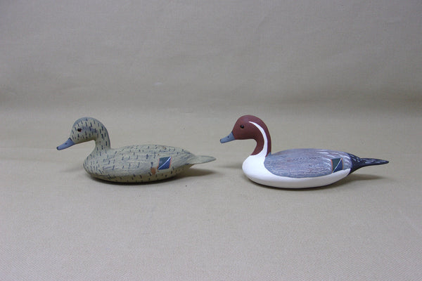 Wilfred Bush Quarter Size Pintails Pair  (#3476)
