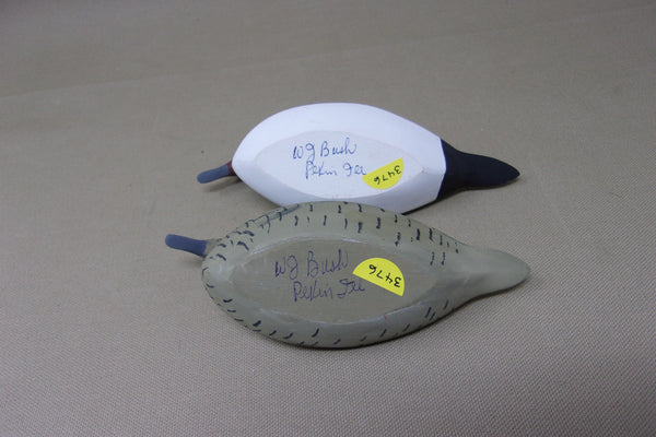 Wilfred Bush Quarter Size Pintails Pair  (#3476)