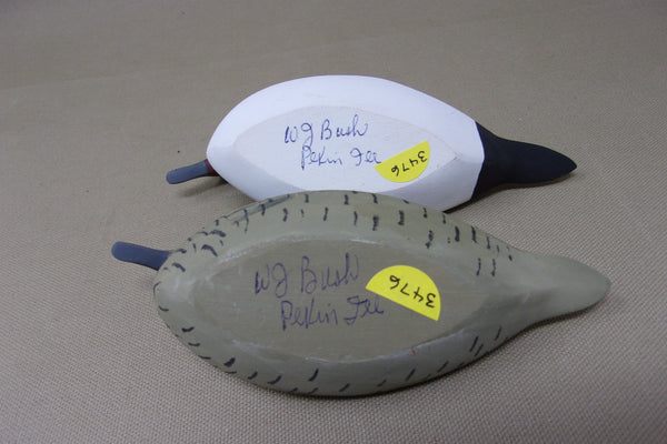 Wilfred Bush Quarter Size Pintails Pair  (#3476)