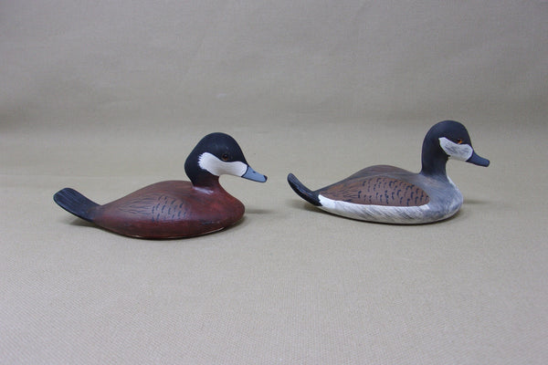 Wilfred Bush Mini Ruddy Ducks Pair (#3477)