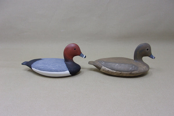 Wilfred Bush Redhead Pair (#3479)