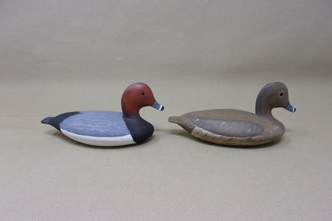 Wilfred Bush Redhead Pair (#3479)