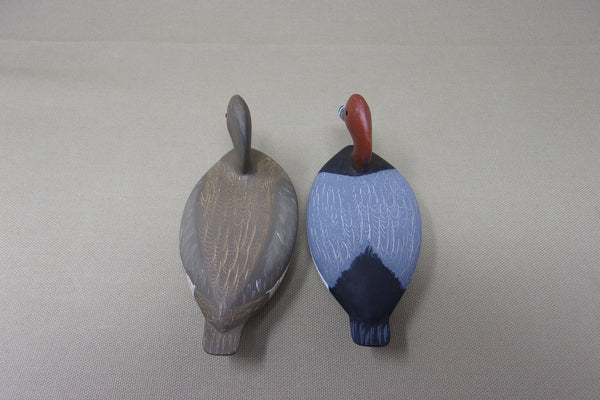 Wilfred Bush Redhead Pair (#3479)