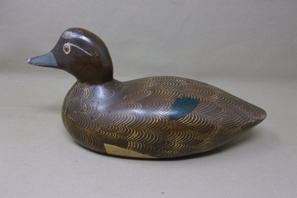 Padco Ringneck, Smooth Model, Never Rigged (#3486)