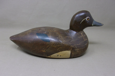 Padco Ringneck, Smooth Model, Never Rigged (#3486)