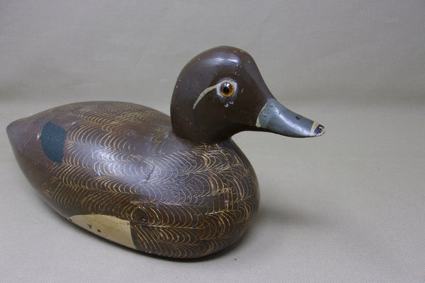 Padco Ringneck, Smooth Model, Never Rigged (#3486)