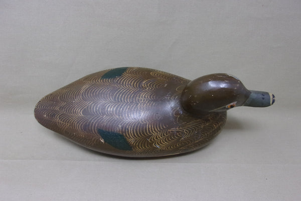 Padco Ringneck, Smooth Model, Never Rigged (#3486)