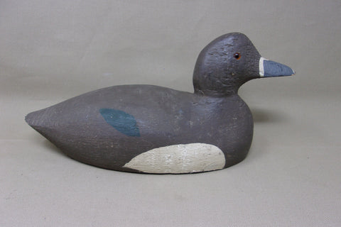 Rare, Padco Ringneck Hen, Never Rigged  (#3487)