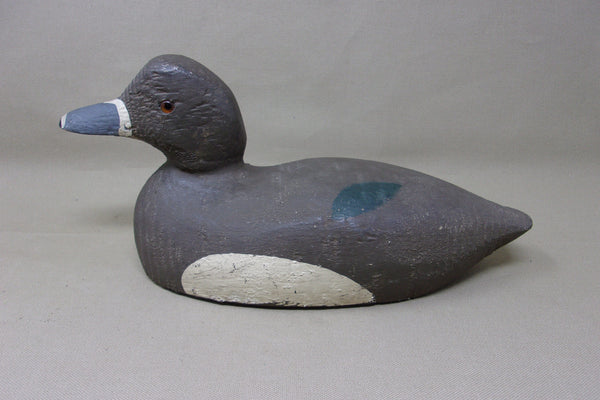 Rare, Padco Ringneck Hen, Never Rigged  (#3487)