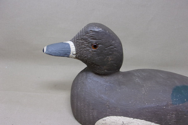 Rare, Padco Ringneck Hen, Never Rigged  (#3487)