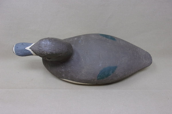 Rare, Padco Ringneck Hen, Never Rigged  (#3487)