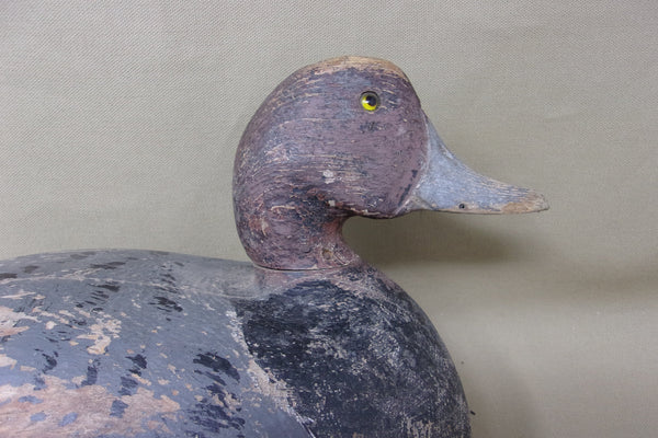 Bumgardner Redhead Drake, Circa 1930's  (#3505)