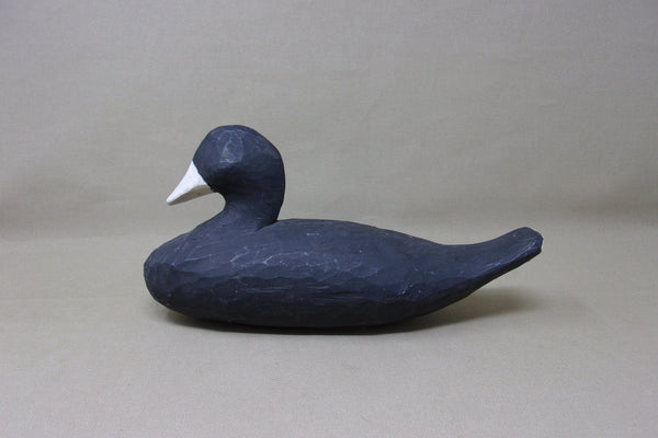 Louisiana Coot, original  (#3537)