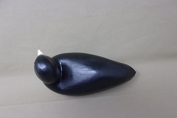 Willard Chauvin Coot, Raceland Louisiana, branded/signed  (#3538)