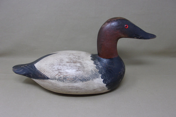 Senica Lake Canvasback Drake, Circa 1920's  (#3544)