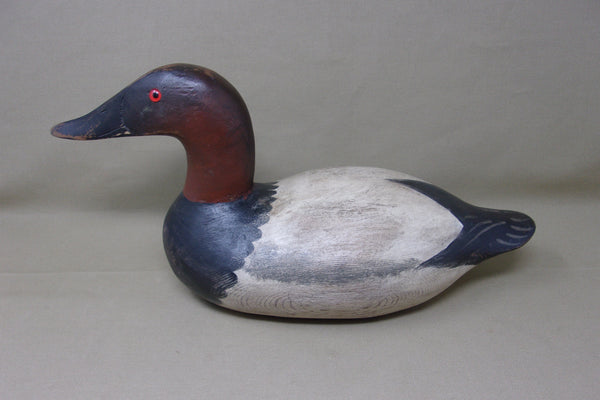 Senica Lake Canvasback Drake, Circa 1920's  (#3544)