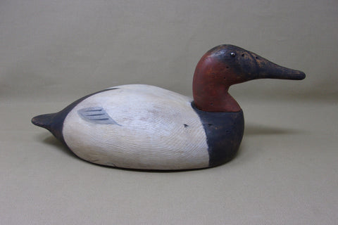 Michigan Canvasback, Chris Smith Influence  (#3555)