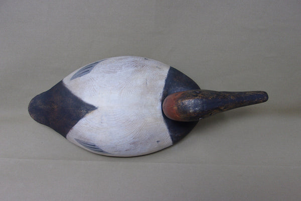 Michigan Canvasback, Chris Smith Influence  (#3555)