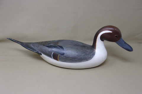 Robert Weeks Pintail Drake  (#3563)
