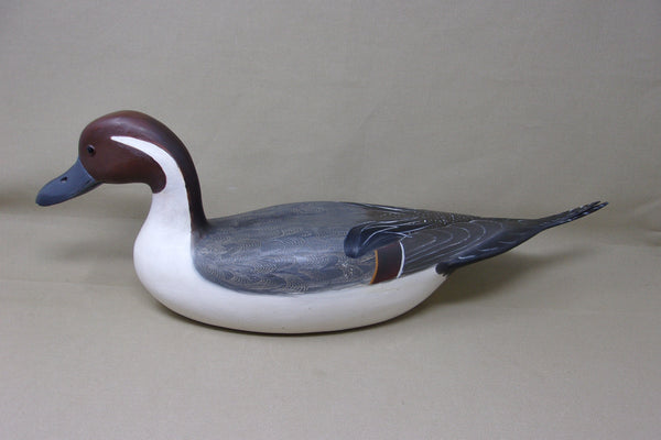 Robert Weeks Pintail Drake  (#3563)