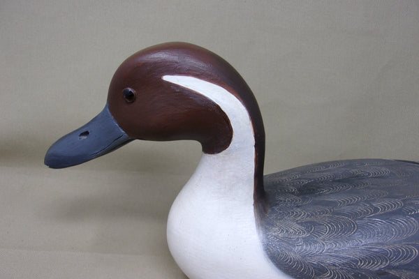 Robert Weeks Pintail Drake  (#3563)