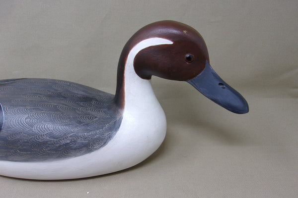 Robert Weeks Pintail Drake  (#3563)