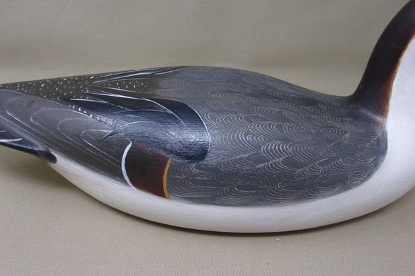 Robert Weeks Pintail Drake  (#3563)