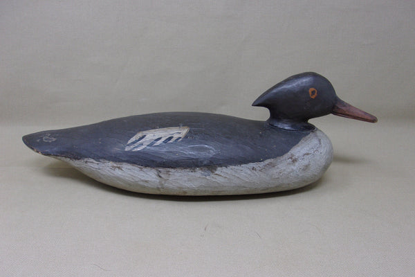 Merganser Hen, Maine, Painted Eye  (#3569)