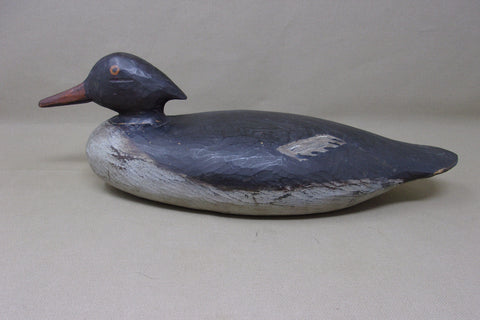 Merganser Hen, Maine, Painted Eye  (#3569)