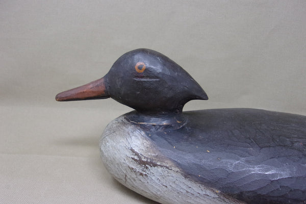 Merganser Hen, Maine, Painted Eye  (#3569)