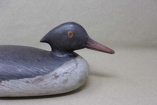 Merganser Hen, Maine, Painted Eye  (#3569)