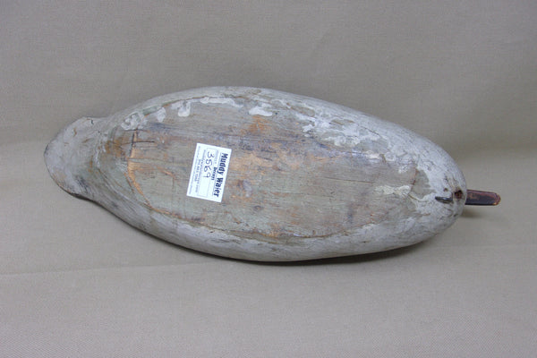 Merganser Hen, Maine, Painted Eye  (#3569)