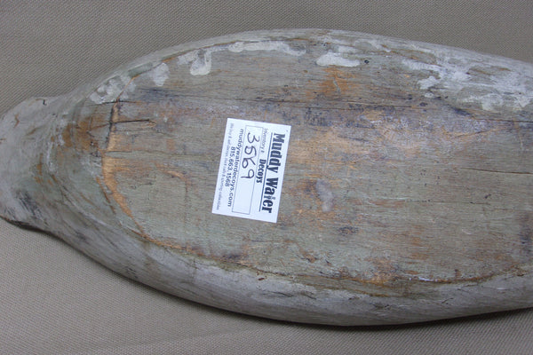 Merganser Hen, Maine, Painted Eye  (#3569)