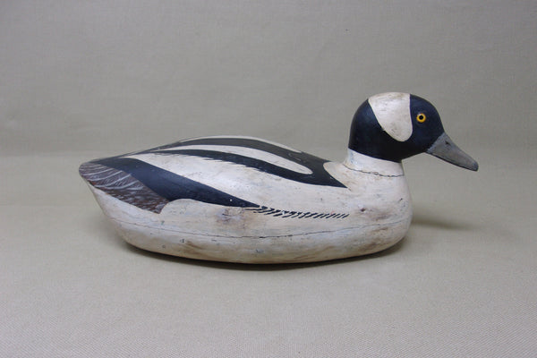 Bufflehead Drake, Original Paint, O'Neill Brand, Circa 1940's  (#3580)