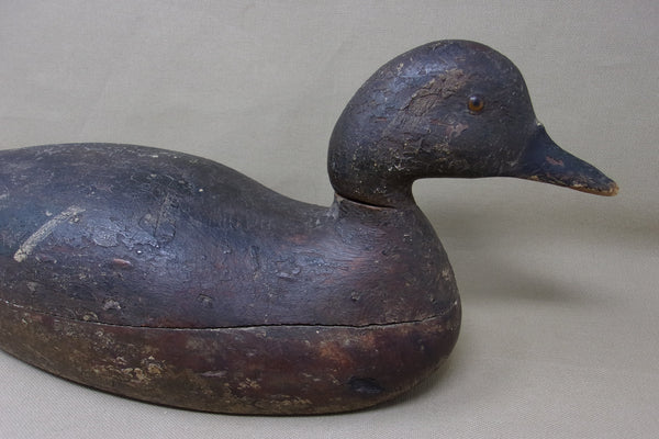 Mason Pintail Drake Premier Grade, Circa 1890's (#3619)