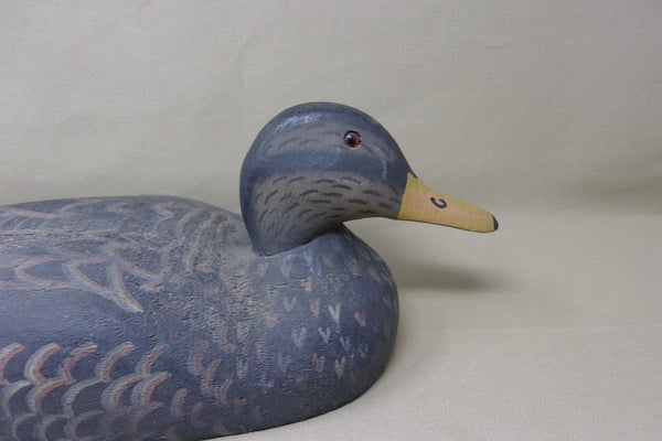 Herters 1893 Series Blackduck, Branded (#3635)