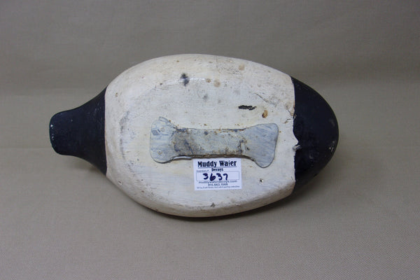 Otto Garren Blue Bill Drake, All Original  (#3637)