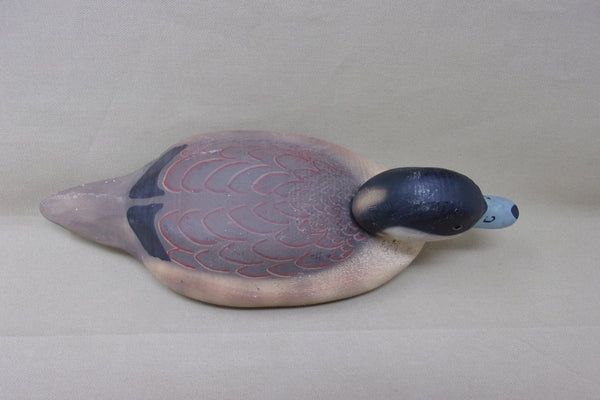 Herters 1893 Series Ruddy Duck with Brand (#3647)