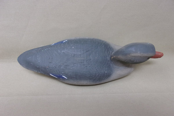 Very Rare Herters 1893 Series Teal Hen (#3662)