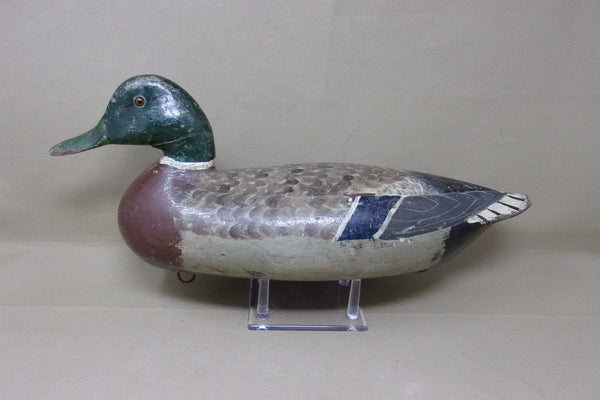 Charles Perdew Mallard Drake, Circa 1930's (#3671)