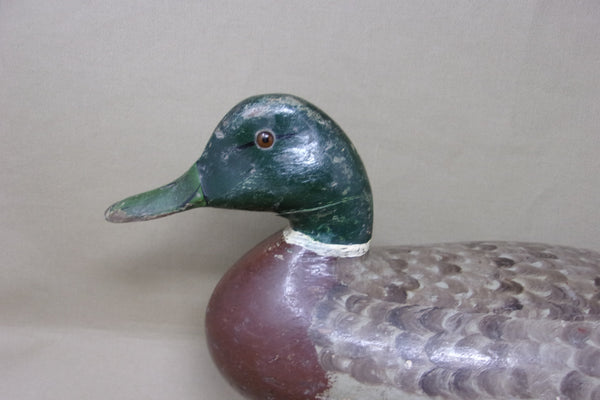 Charles Perdew Mallard Drake, Circa 1930's (#3671)