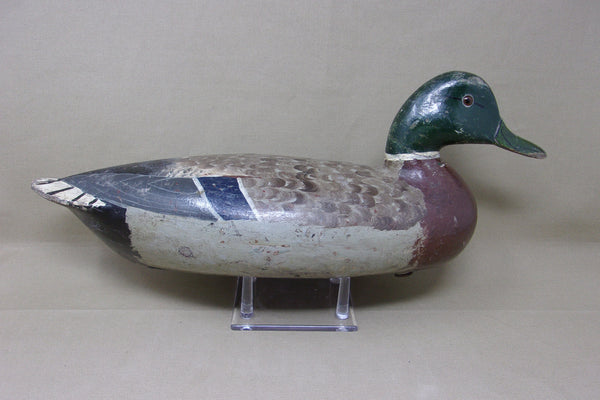 Charles Perdew Mallard Drake, Circa 1930's (#3671)