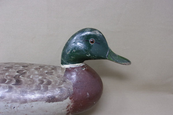 Charles Perdew Mallard Drake, Circa 1930's (#3671)