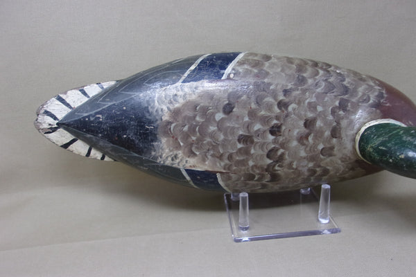 Charles Perdew Mallard Drake, Circa 1930's (#3671)