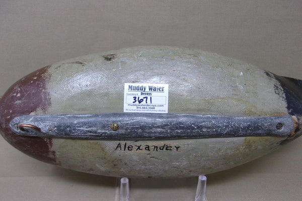 Charles Perdew Mallard Drake, Circa 1930's (#3671)